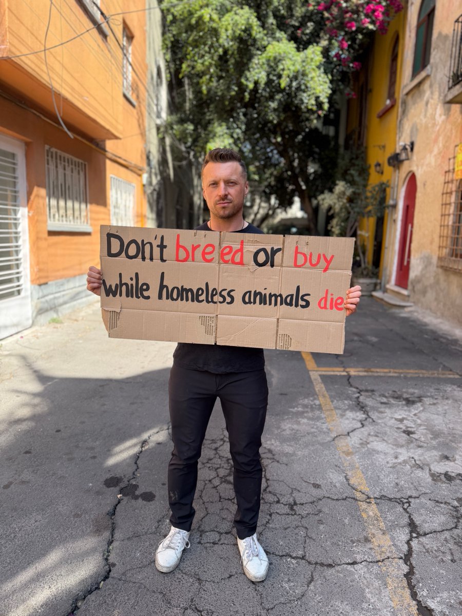 JohnOberg's tweet photo. Adopt. Don't shop! 🐶🐱

It breaks my heart that people who buy from breeders may mean well, but don't consider how they're denying a home to an animal in a shelter. #AdoptDontShop

There are more than enough animals in need that you NEVER need to breed/buy! 🧡 https://t.co/QgIyA0xy0A