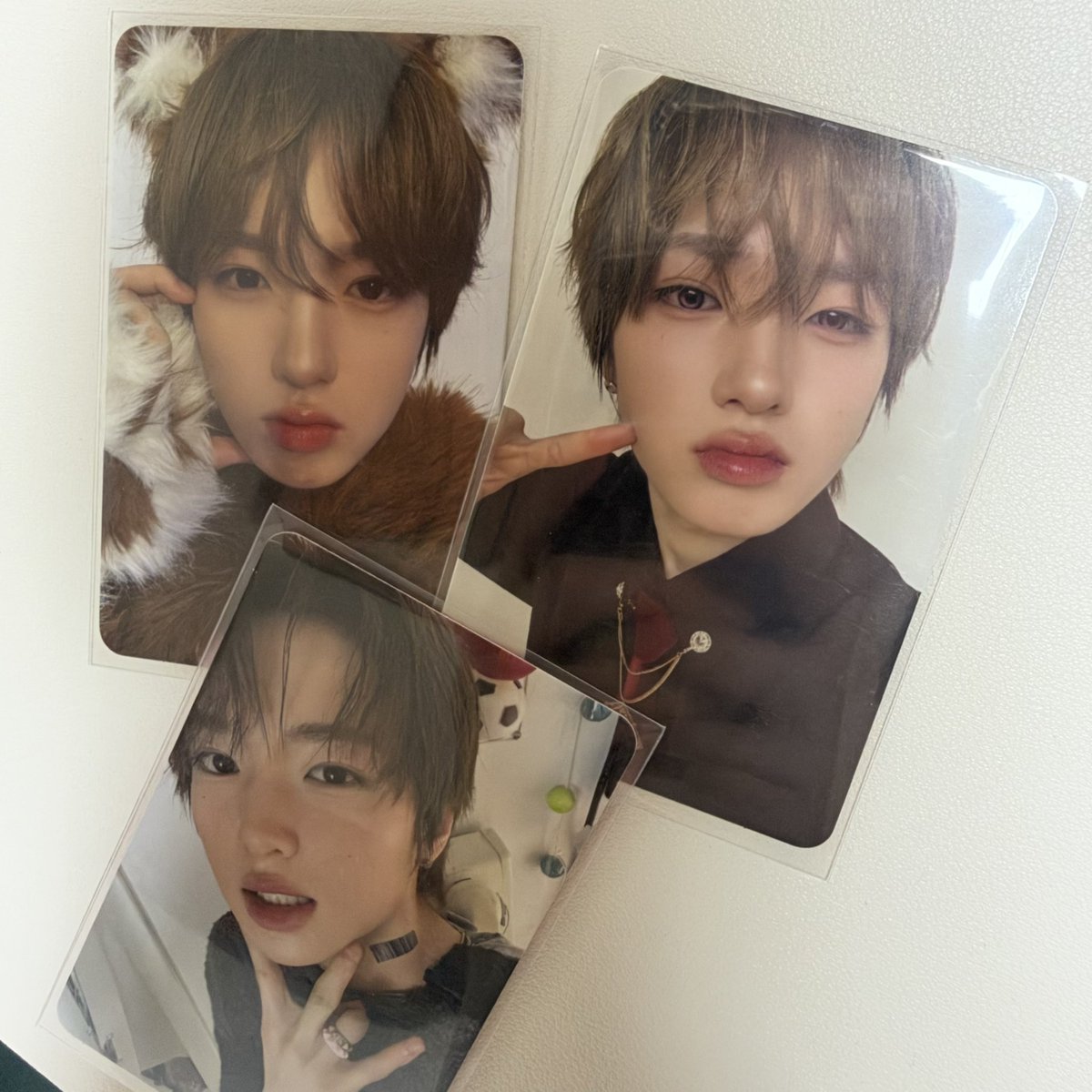 ku_like_me's tweet photo. 초회한정 사쿠 드볼햇찌비 https://t.co/RiF9KgCnrD