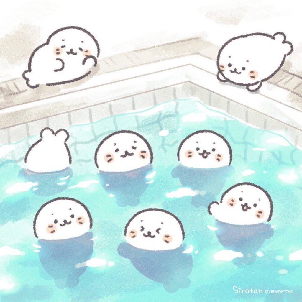 sirotantan9999's tweet photo. きゅ🏊🦭 https://t.co/rOs49OkLsR