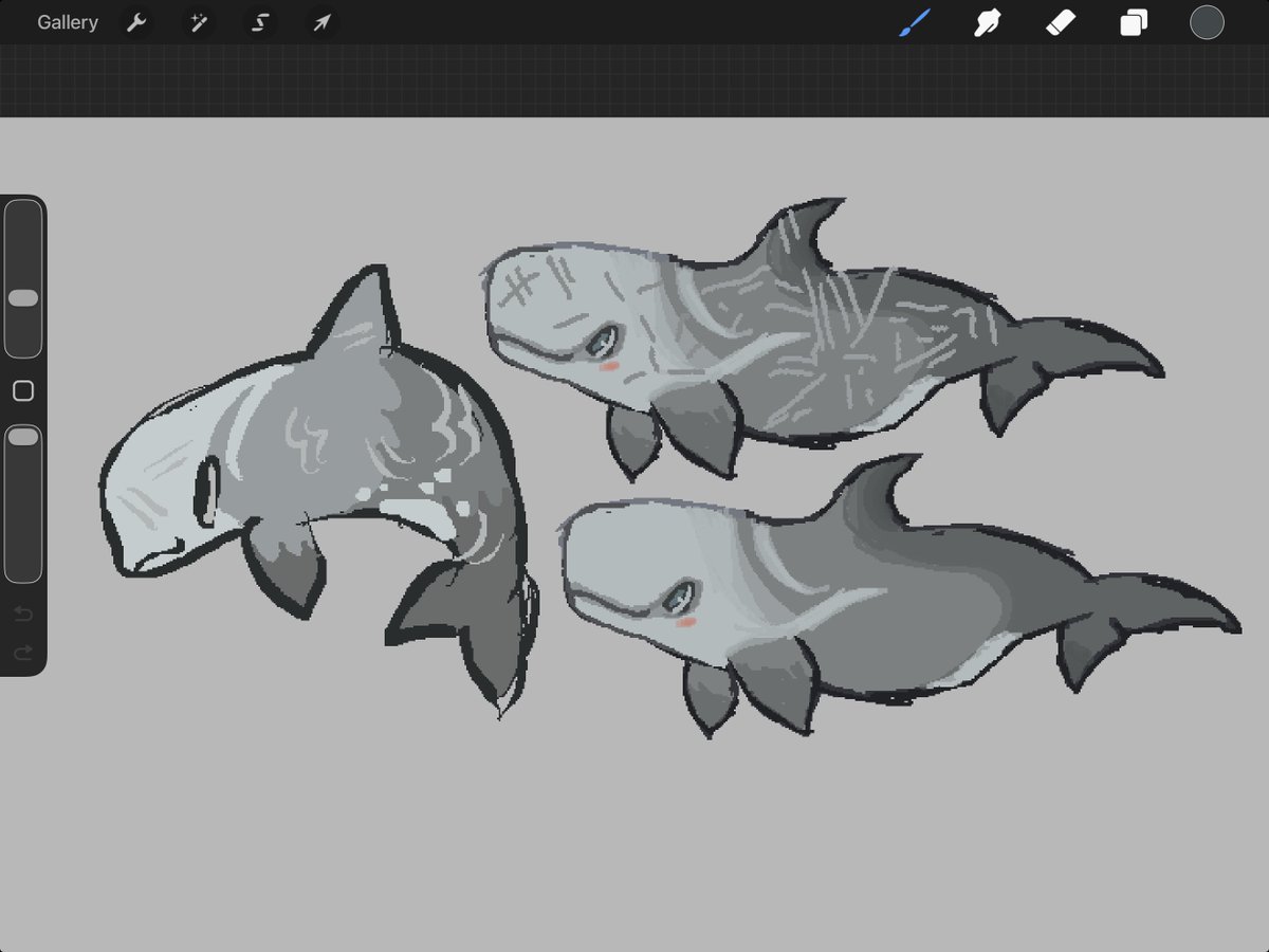 wingcoaster's tweet photo. some old rissos chibis. such cool dolphins https://t.co/Hf6hGpoMvG