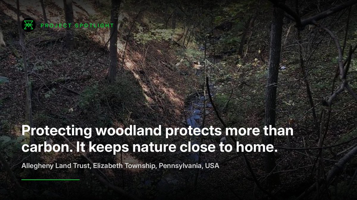 KlimaProtocol's tweet photo. A standing forest is already doing the work. It holds the carbon it has spent decades absorbing, keeps pulling more from the air every year, and shelters the wildlife and open space that disappear the moment the chainsaws arrive. Protect it, and all of that stays. Clear it, and none of it comes back in our lifetimes.

At Buena Vista Heights, Allegheny Land Trust protected a 124-acre woodland near Pittsburgh from residential development. Its maple, cherry and oak-hickory trees shelter wildlife, while local hikers, birders and mountain bikers can explore the forest. Within the Youghiogheny River watershed, the woodland also contributes to water quality for the region. Carbon credit revenue helps cover acquisition costs, stewardship and further land conservation.

Registry: @regen_network  
Available Supply: ~2,115 tCO2eq 
More about Regen at: https://t.co/FtEyRfYbtN