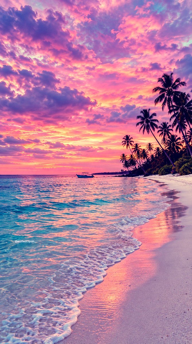 aestheticspost_'s tweet photo. Pink sky. https://t.co/avimYs11mn