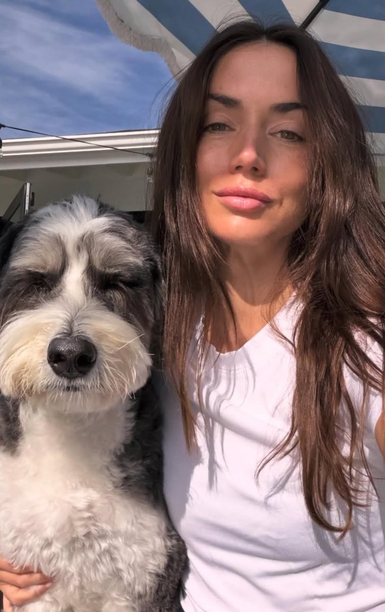 lloveandtruth's tweet photo. @What breed of dog do you love the most? 🐶❤️ And why? https://t.co/19qYwJBoGH
