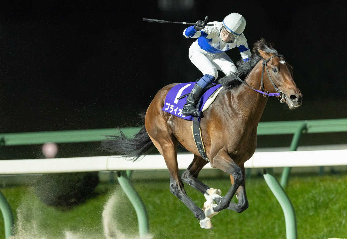iwatekeiba's tweet photo. 💐重賞結果💐

第２６回トパーズカップ

３歳重賞「第26回トパーズカップ」はブライオンが大差で圧勝！
５番人気をはねのけ、重賞挑戦７度目で待望の初タイトルを獲得!!
https://t.co/LdVRT54Qg6

#トパーズカップ　#ブライオン https://t.co/QdJ3wZw9cK
