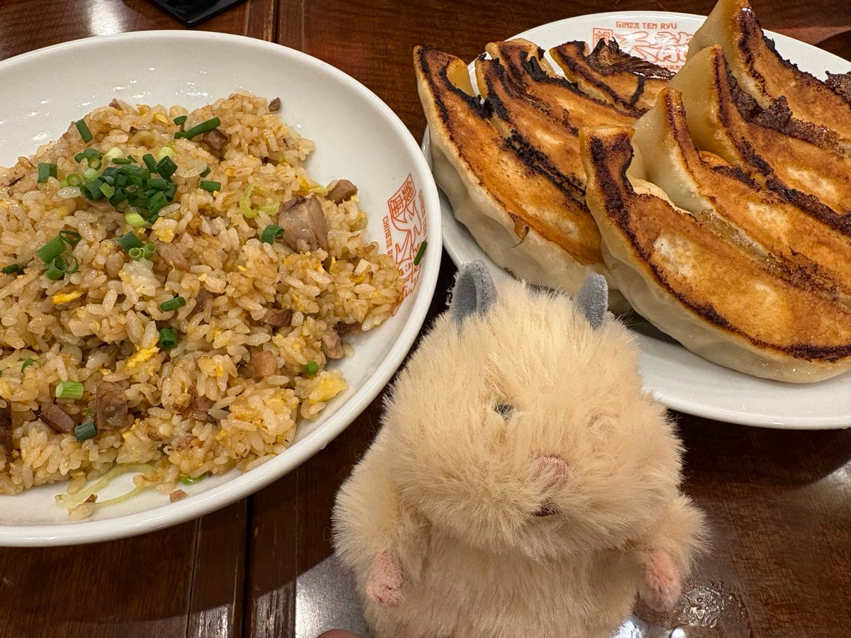 rosemooon's tweet photo. 今日のランチは『天龍』さん
ボリューム満点の餃子美味でした🥟✨️

はむにぎりのきなこもお出かけデビュー🐹
トリミングしなくちゃかなぁ。。。 https://t.co/EH0MlAcWOp