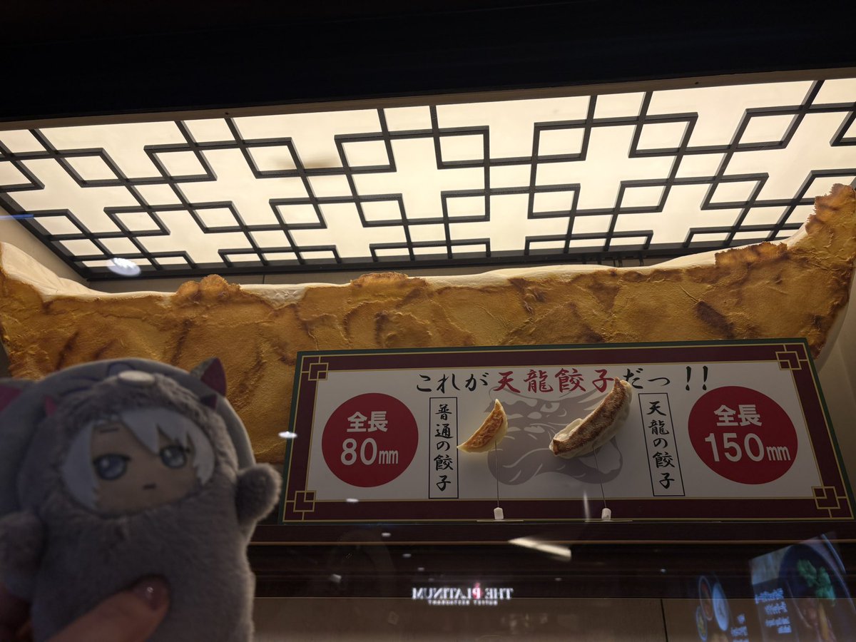 rosemooon's tweet photo. 今日のランチは『天龍』さん
ボリューム満点の餃子美味でした🥟✨️

はむにぎりのきなこもお出かけデビュー🐹
トリミングしなくちゃかなぁ。。。 https://t.co/EH0MlAcWOp