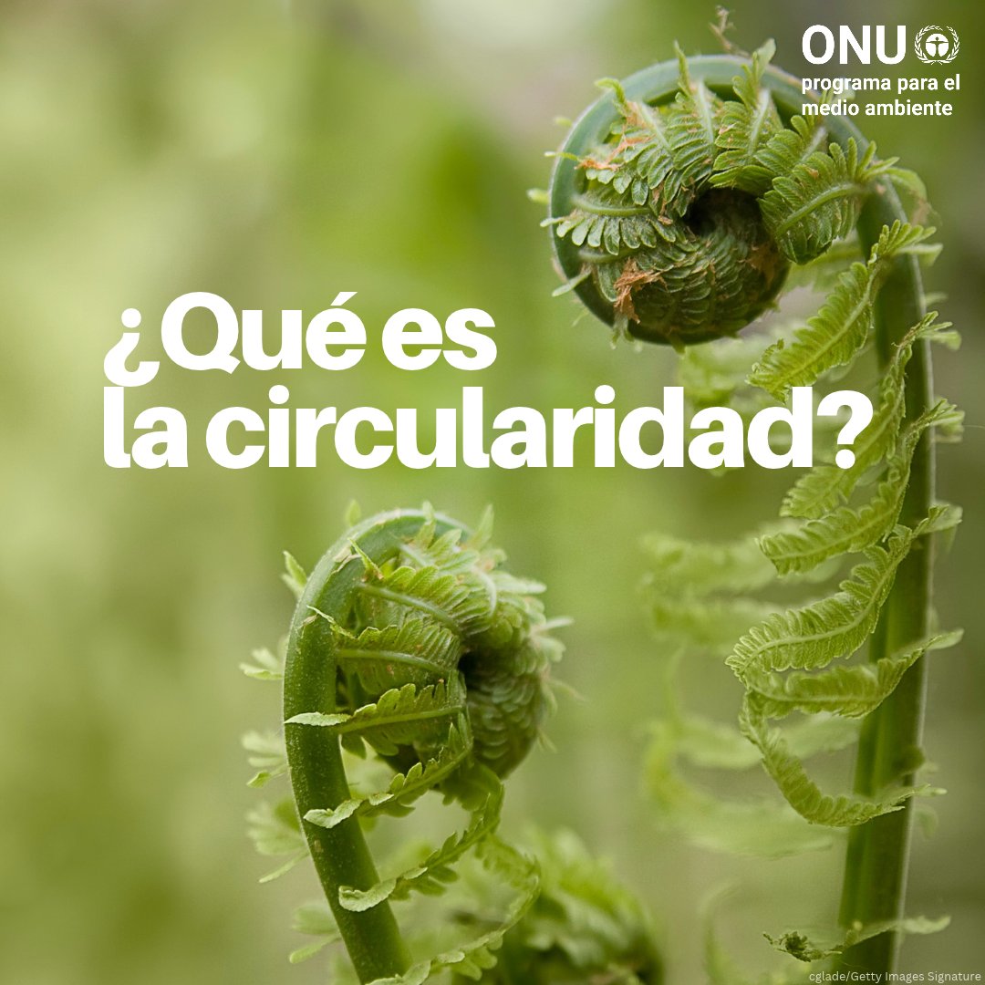 unep_espanol's tweet photo. La circularidad es esencial para retornar a un planeta sostenible.

Pero, ¿qué significa realmente?

Aquí tienes el concepto en términos sencillos. Observa cómo usar los recursos de manera inteligente puede reducir los desechos y proteger nuestro futuro: https://t.co/x1c2cZqUbF https://t.co/hLHx9yFabm