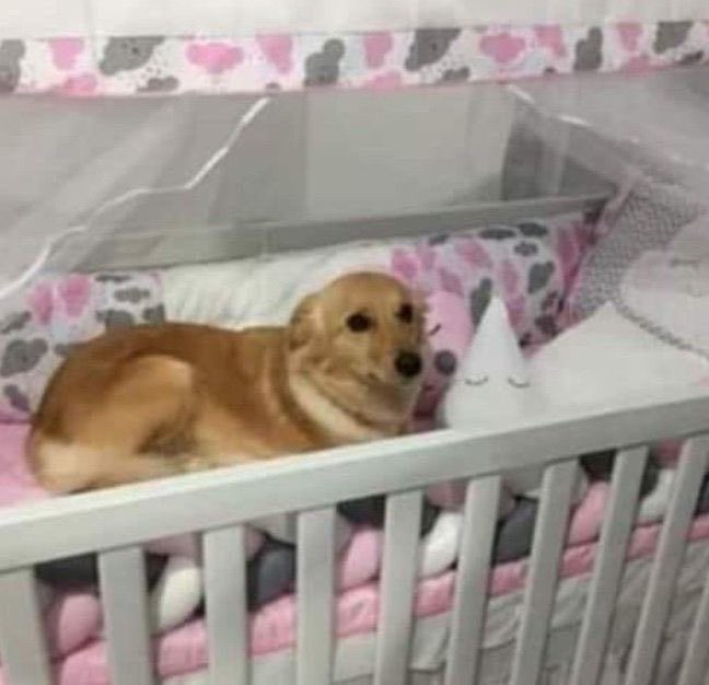 soupy1122's tweet photo. mommy   Hi.   pls  come  tuck me in  &amp; read me a  bedtime story   Also make sure the bedbugs  don’t bite again https://t.co/EfCJhUt25B