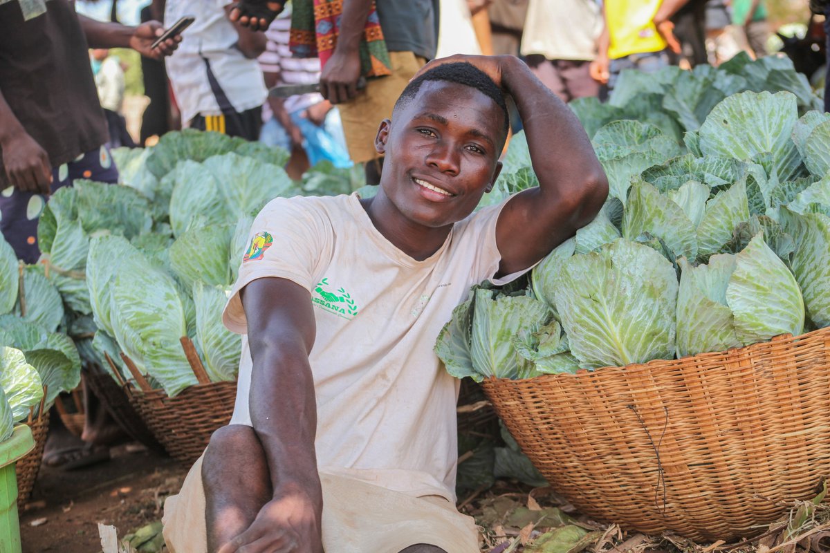 actionaidmoz's tweet photo. Daniel trocou o cultivo de banana pelo de repolho e transformou o seu negócio. 

Hoje gera rendimento, emprega outra pessoa e sonha construir uma casa. 

"Trabalhar é o melhor caminho".

#actionaid @theGCERF https://t.co/4XCDwGMWVF