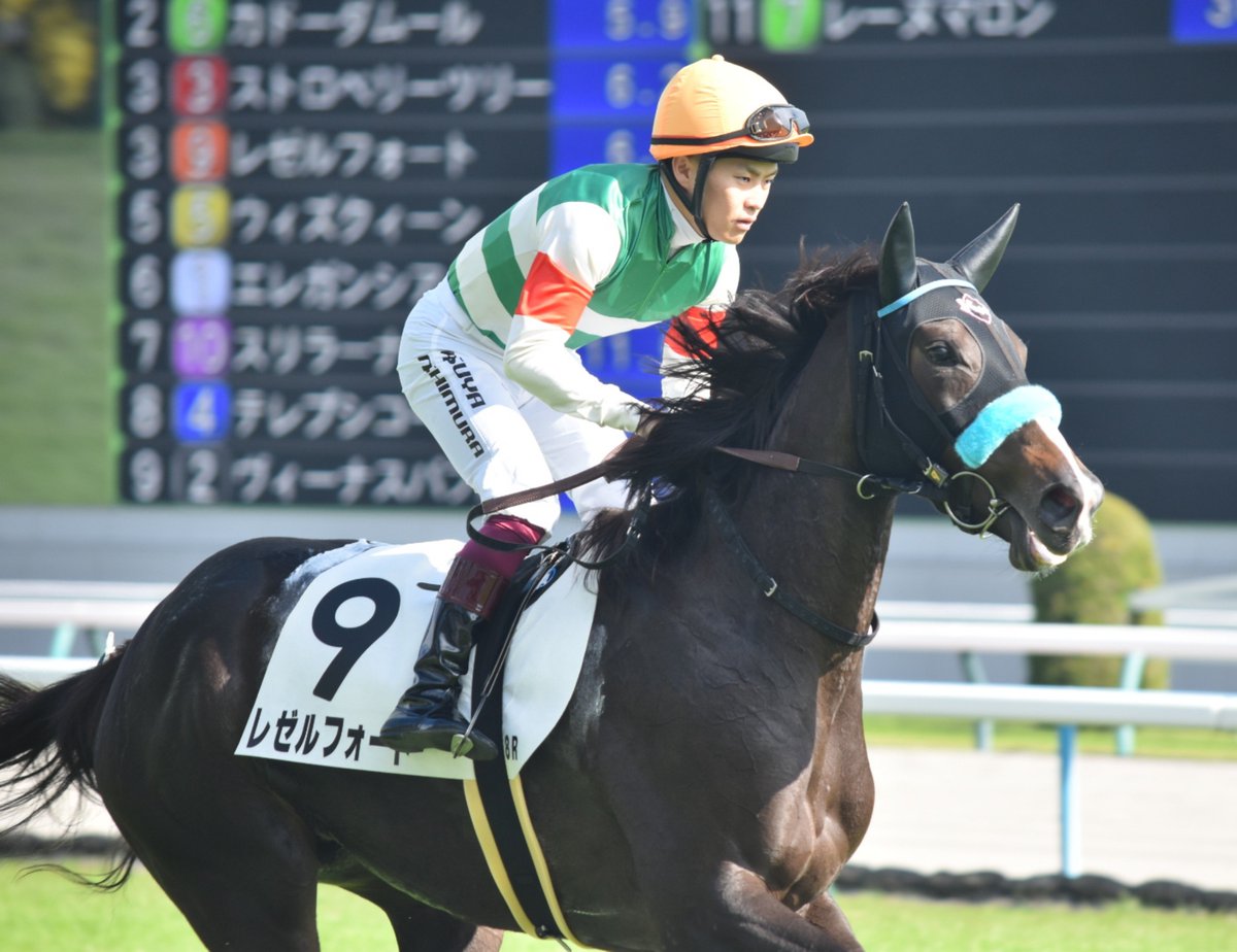 piropiro_264's tweet photo. 10/12 京都8R 3歳上1勝クラス
レゼルフォート🐴×西村騎手✨️ https://t.co/bqYcgSVXZT