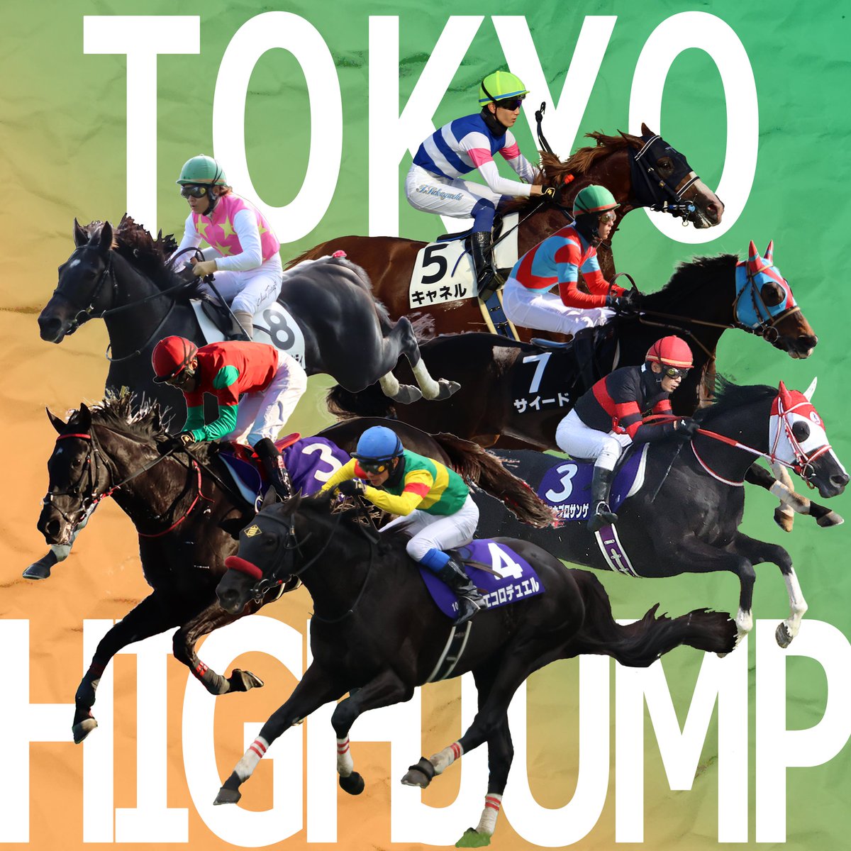 Jump_Jumpfan's tweet photo. 今晩は！
来週は東京ハイジャンプが行われます。2023年の最優秀障害馬マイネルグロンがついに実戦復帰！24年中山GJ以来、１年半ぶりにエコロデュエルと相見えます。
他に��神JSから巻き返したいジューンベロシティとホウオウプロサンゲ、久々のサイード、上がり馬キャネル等、楽しみな９頭です！ https://t.co/sDAgjCQK1v