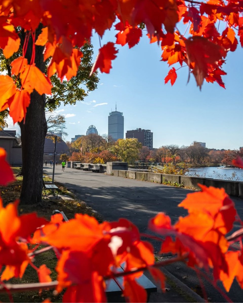 Do617's tweet photo. Giant pumpkins to start the week, HOCR to end it. We’ve got your literary plans, food fests and more in one handy list.

Sign up for our free newsletter, packed with pop-ups, presale codes &amp; giveaways, at the link in bio.

📸: opticalmd https://t.co/dAFYsL93wC