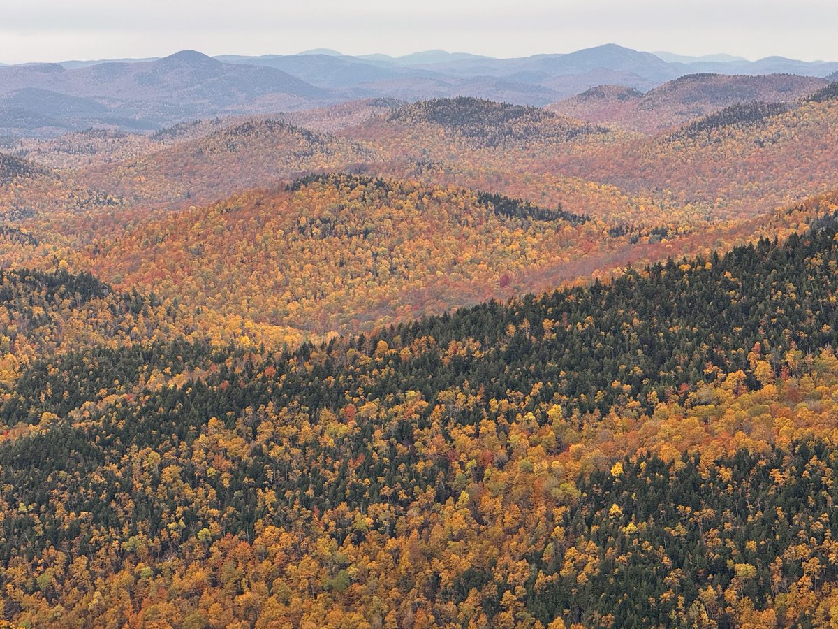 TommyHornWX1's tweet photo. Found some decent past peak color on the east side of the mountains in New Russia, NY 🍁 🍂 (10/11). Areas below 1500’ now hold the best color in the Adirondack region. https://t.co/jYyYybKuFI