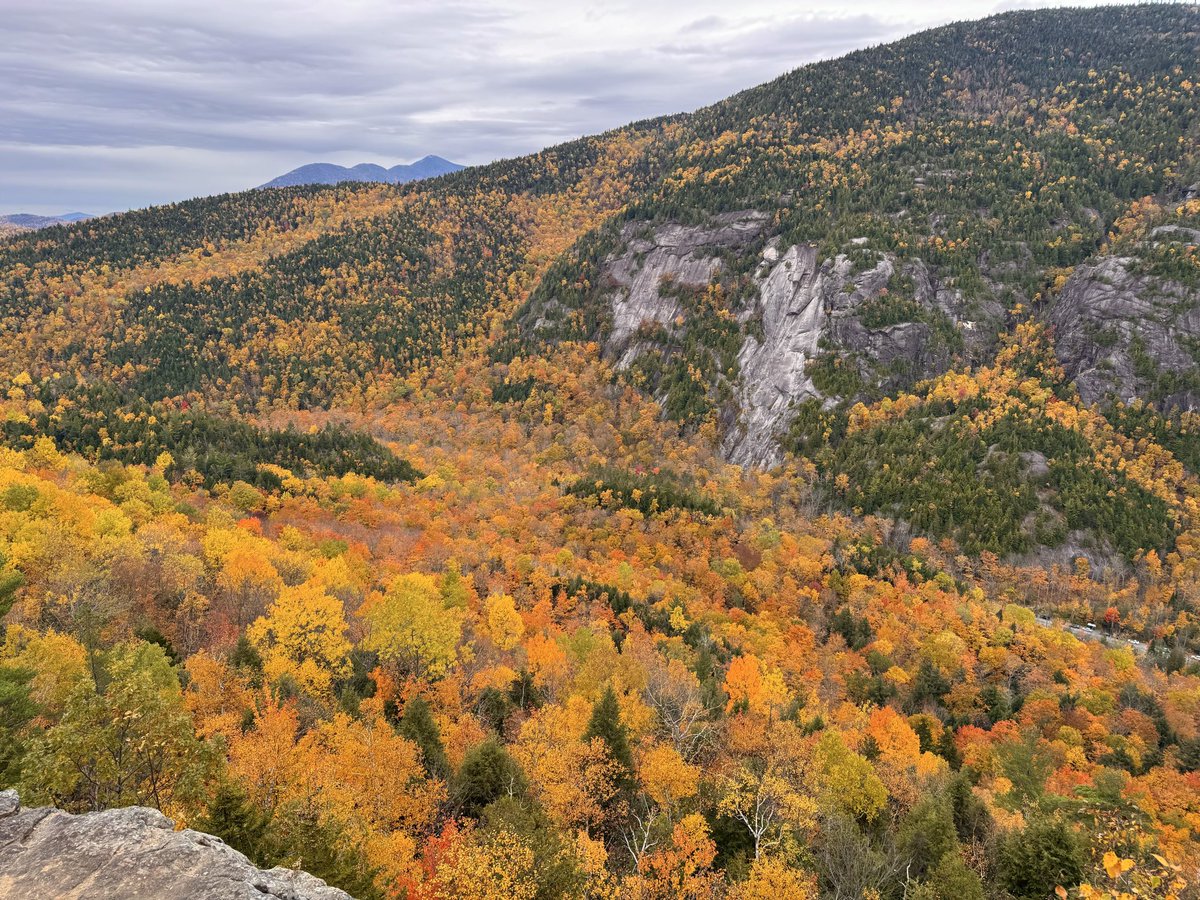 TommyHornWX1's tweet photo. Found some decent past peak color on the east side of the mountains in New Russia, NY 🍁 🍂 (10/11). Areas below 1500’ now hold the best color in the Adirondack region. https://t.co/jYyYybKuFI