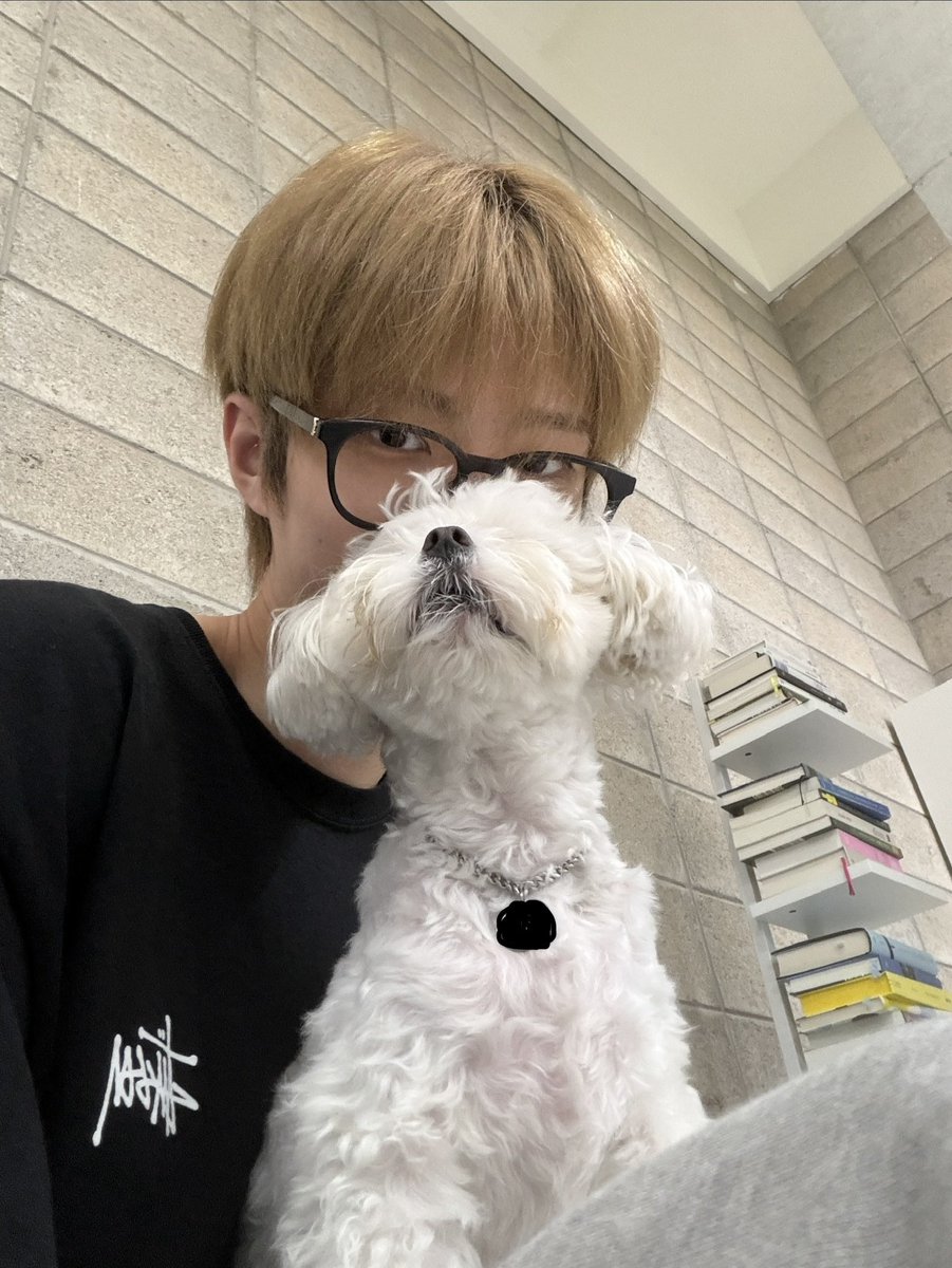 8tvrns's tweet photo. MINO 🫧
🤍

#에잇턴 #8TURN #양민호 #yangminho https://t.co/9shro0vvYI