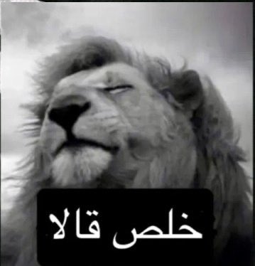 Naagbg's tweet photo. @TurkiHAlhamad1 https://t.co/U5E4M7q6xk
