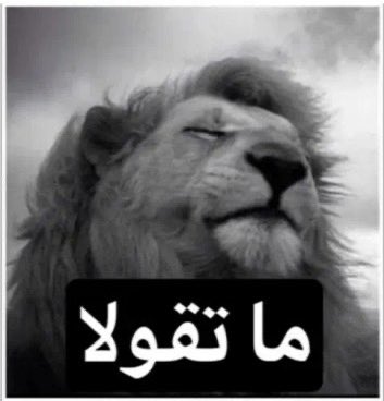 Naagbg's tweet photo. @TurkiHAlhamad1 https://t.co/U5E4M7q6xk