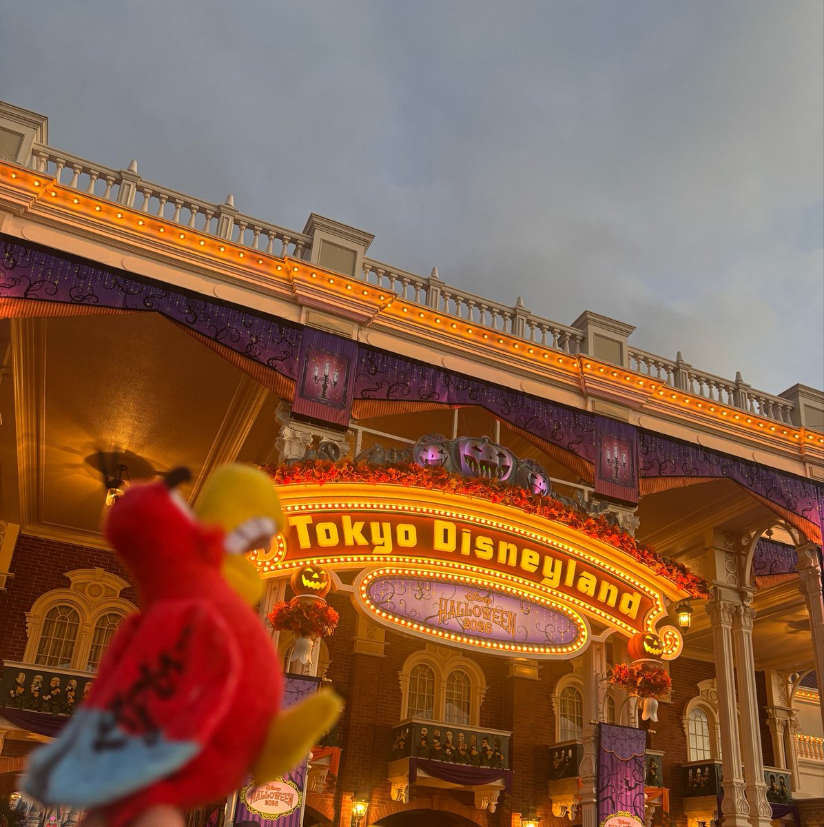 peterpan1flight's tweet photo. 今日はイアーゴと共にインでした🏰 https://t.co/tPl7O9hfln