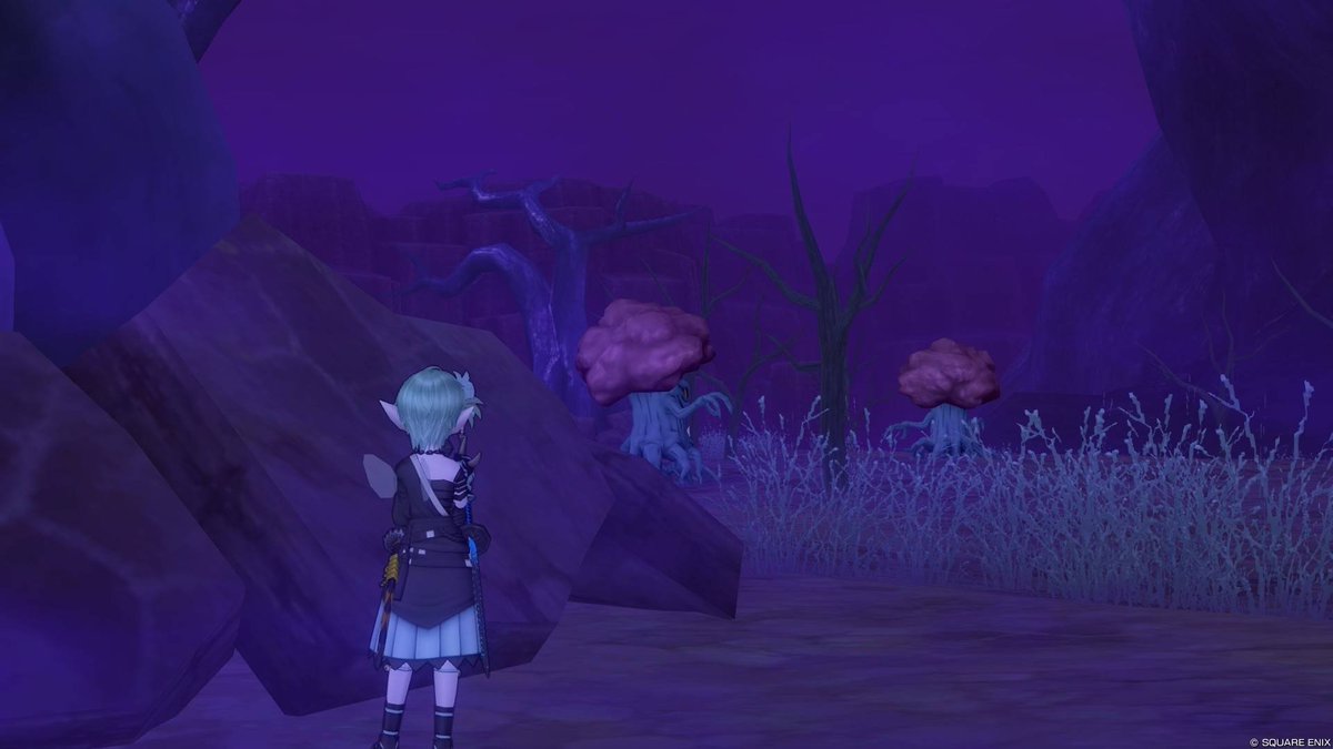 Sh1no_dqx's tweet photo. バトのコーデがすっかりお気に入りコーデの1つになりました
あと2枚目はウドラー闇討ちを狙ってるうちの子の図です https://t.co/XycVrCSK4l