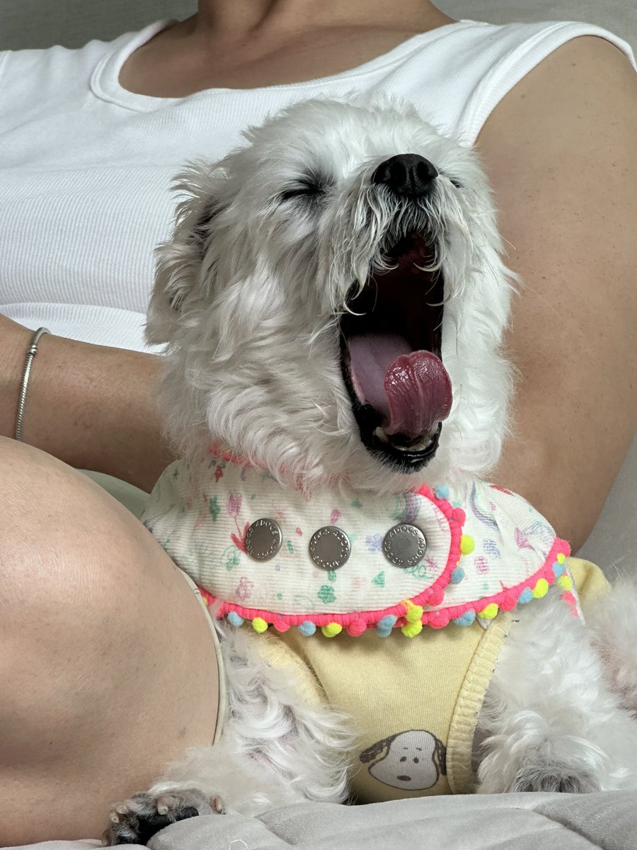 kesikiii's tweet photo. 라을라
토요일에 생일이었어요
모두 축하해줬다고 생각할게요 
감사합니다 https://t.co/Fi3pyt8Nvs