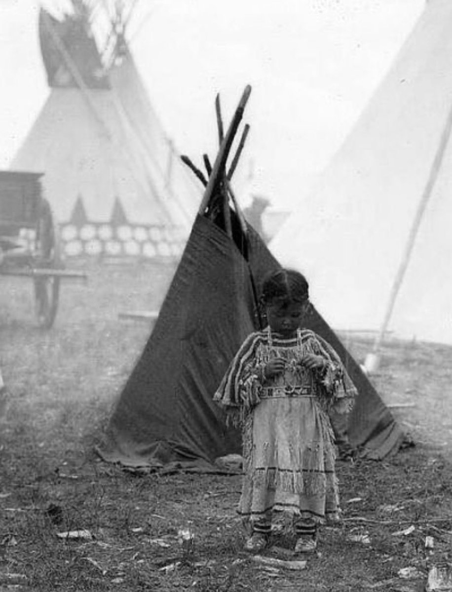 LakotaMan1's tweet photo. So, a Trump supporter told me that, “nobody gives a sh*t” about Indigenous Peoples Day. Please, tell me, do you care about Indigenous Peoples Day?￼ https://t.co/ErIf7FNAit