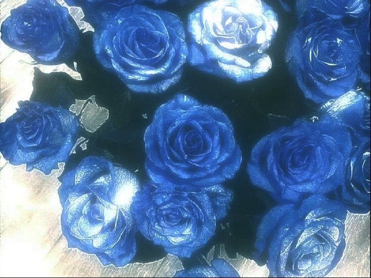 nonactivecie's tweet photo. ⠀
⠀꒰ https://t.co/OzRHt1iX0F ꒱

⠀　⠀  ⠀ciel / ciecie , 6teen !  ⌒⠀

⠀⠀⠀⠀he   ノ⠀him⠀
︵⠀ftm , omni , istj , 2w3  .ᐟ

⠀#adotwt #yaoitwt #bltwt
⠀#danmeitwt #artmoots #promotwt 

⠀⠀ ♡ / ↻ to be moots .ᐟ https://t.co/pC69m7TIxX