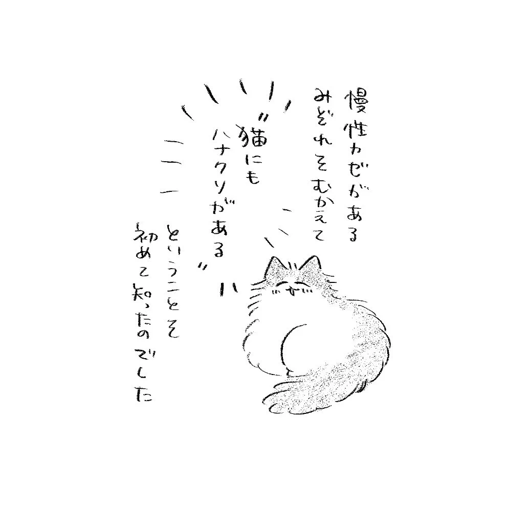 むしろ on X: 
