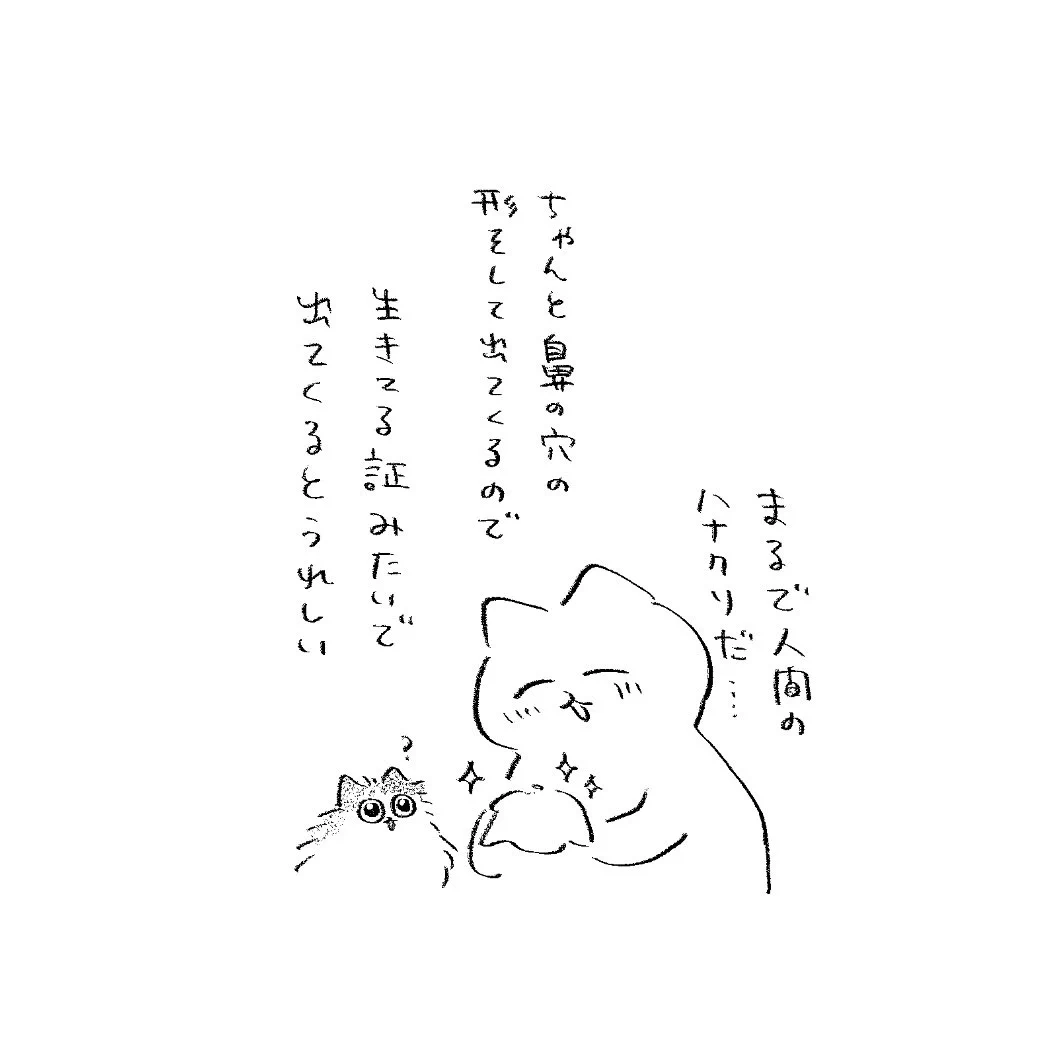 むしろ on X: 