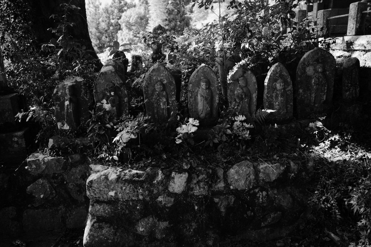ykkga's tweet photo. #gr4monochrome https://t.co/0v27prI7aT
