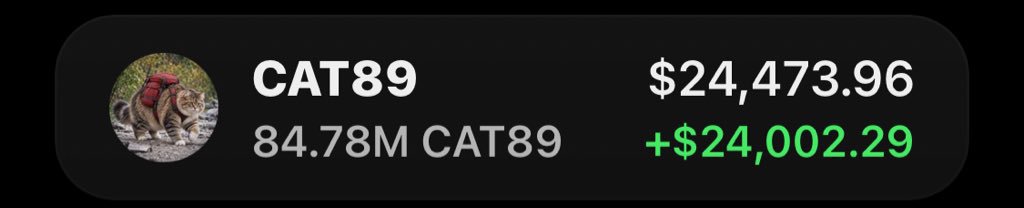 Klope_1's tweet photo. #CAT89 Is making waves printing massive profits on my Alpha telegram group
If youβre in my tg group your copy trade would have been on same profit as I am.
Ca: 7WSRd9ixYPhvqUoNUDew2tqasuD7JoXY2FNngtqppump https://t.co/Y3cubKTqC5