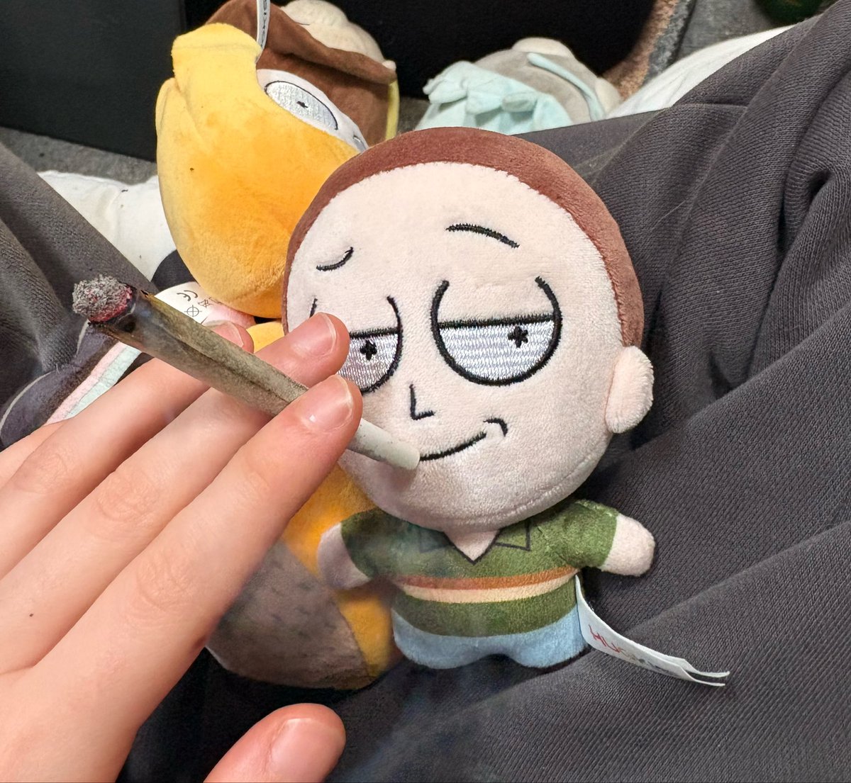 solanumC137's tweet photo. making jerry addicted https://t.co/2AWpyrjFqm