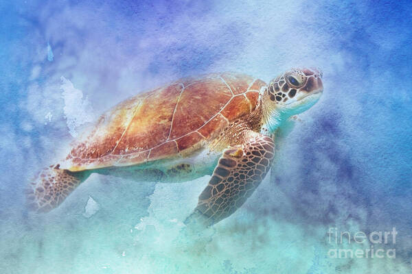 HurmerintaArt's tweet photo. The Wonderful Sea Turtle. Watercolor art.
#wallart #cards #giftidea #turtle #seaturtle #animal #christmasgift #birthdaygift #natureart https://t.co/Q0MLJDnNu6 https://t.co/807yxV7NED