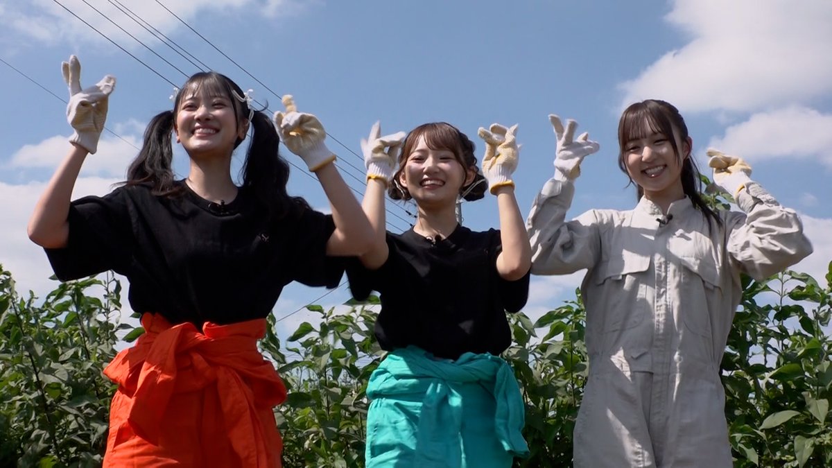 KAWAIIFARM's tweet photo. 明日深夜、放送開始です！🌾📺

「KAWAII FARM」
🗓️10/13(火) 深夜2:35〜 テレビ東京

アソビシステムのアイドルプロジェクト「KAWAII LAB.」のメンバーが、日本の農業・工芸・伝統文化を体験し、発信する新番組！

ロケ中みんな真剣でいい顔しています🧡🩵🤍
初回放送と今後の展開にご注目を！ https://t.co/ZQ0eiOUxsk