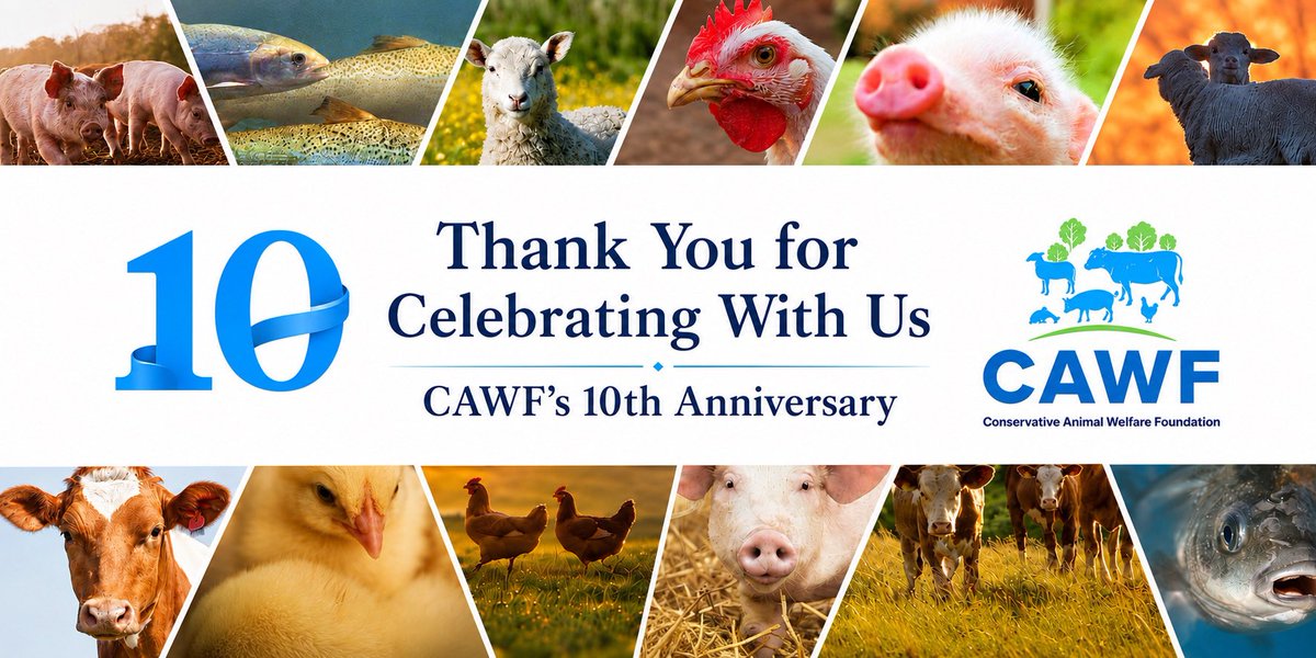 ConservativeAWF's tweet photo. @humaneworlduk @VictoriaAtkins @DrNeilHudson Thank you for joining us at our 10th anniversary animal welfare reception at Party conference and for your kind words! https://t.co/dBrikY03Mc