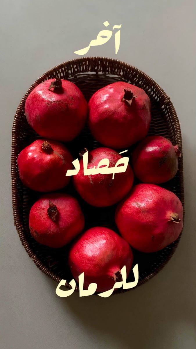 halaxxxx_'s tweet photo. حياتي مؤخرًا/ https://t.co/xQsh7tWhzy