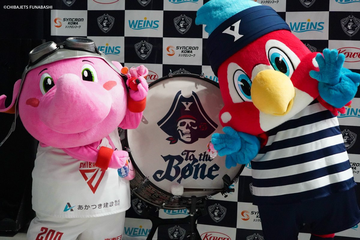 Jumbokun_GOJETS's tweet photo. ルビー、ビーコルのみなさん。きょーわ、ぼくのことあたたかくむかえてくれてホントにありがゾウ！ぺこり。とってもきゃわわな #ルビー とはじめましてだったのに、すごくなかよちになれて、うれちかったゾウ！これからもいっぱいあそんで、おもいでつくっていこうね。よろしくだゾウ♪るん♪#ビーコル https://t.co/9VwutQRwNj