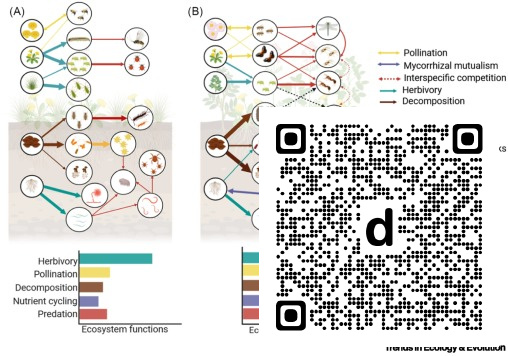 Trends_Ecol_Evo's tweet photo. Online now: From species richness to interaction architecture dlvr.​it/TVtKz7 https://t.co/ncYjflhay9