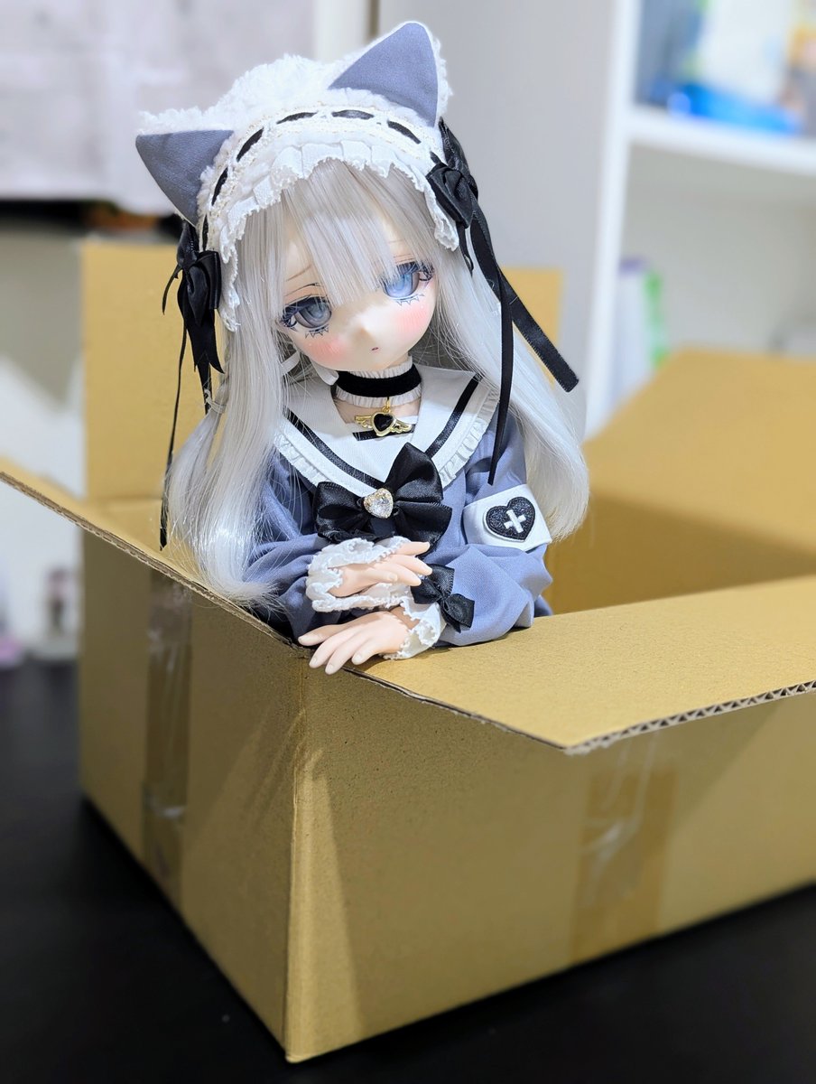 rosa110120's tweet photo. 一箱貓🖤
原本要整理書的，結果貓咪佔據了箱子 https://t.co/9aXrfzrd0z