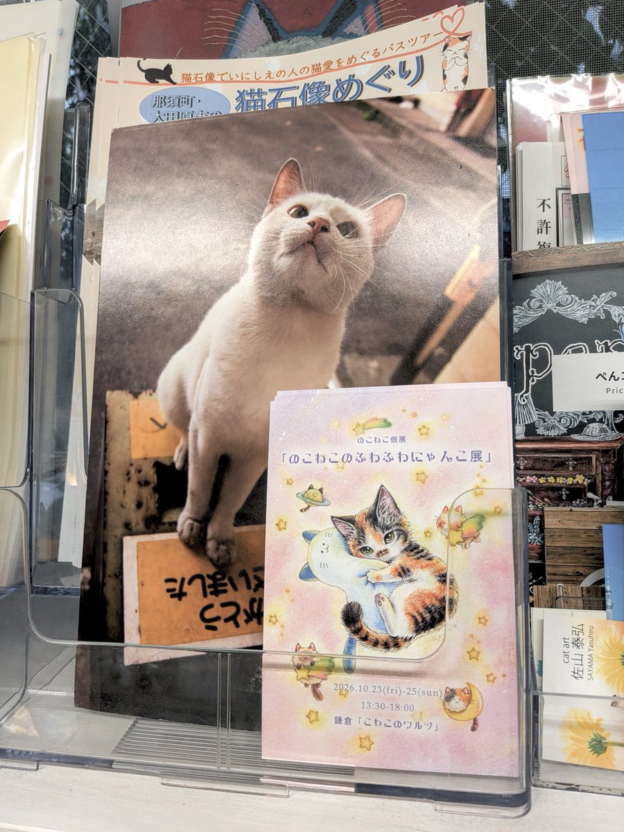 nokoneko222's tweet photo. いつもお世話になっている「ねこの引出し」様に、個展のDMを置かせていただいております✨

お立ち寄りの際は、ぜひお持ちくださいませ。
🌸🌸🌸
┈┈┈┈┈┈┈┈┈┈┈┈┈┈┈
のこねこ個展
「のこねこのふわふわにゃんこ展」
2026.10.23(fri)-25(sun)
13:30-18:00
┈┈┈┈┈┈┈┈┈┈┈┈┈┈┈ https://t.co/ZiVoXH4qUq
