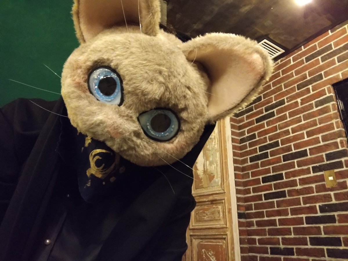 syusyuton's tweet photo. 月曜お疲れ様〜🐱
今週も勢いで乗り切っていくにゃよ！

#ケモノをみて今週もがんばりマンデー https://t.co/2dFI2CLFhA