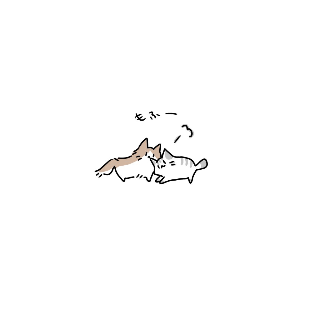 kotoriyuki75's tweet photo. もふもふが恋しい季節🐱 https://t.co/YkkFV4566p