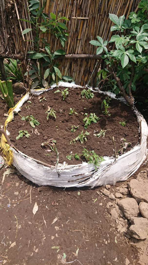 cyuveyouth's tweet photo. taliki ya 12/10/2026 Youth Volunteers b’umurenge wa #cyuve Murwego rwo kurwanya imirire mibi twakoze ingamba aho tw'ubakiye umuturage witwa AYINKAMIYE madarina utuye mu kagari ka kabeza umudugudu wa Gashangiro. @Bibarizwaha @MusanzeDistrict @RobertByiri  @Rwandapolice https://t.co/L0R1F8f8V1