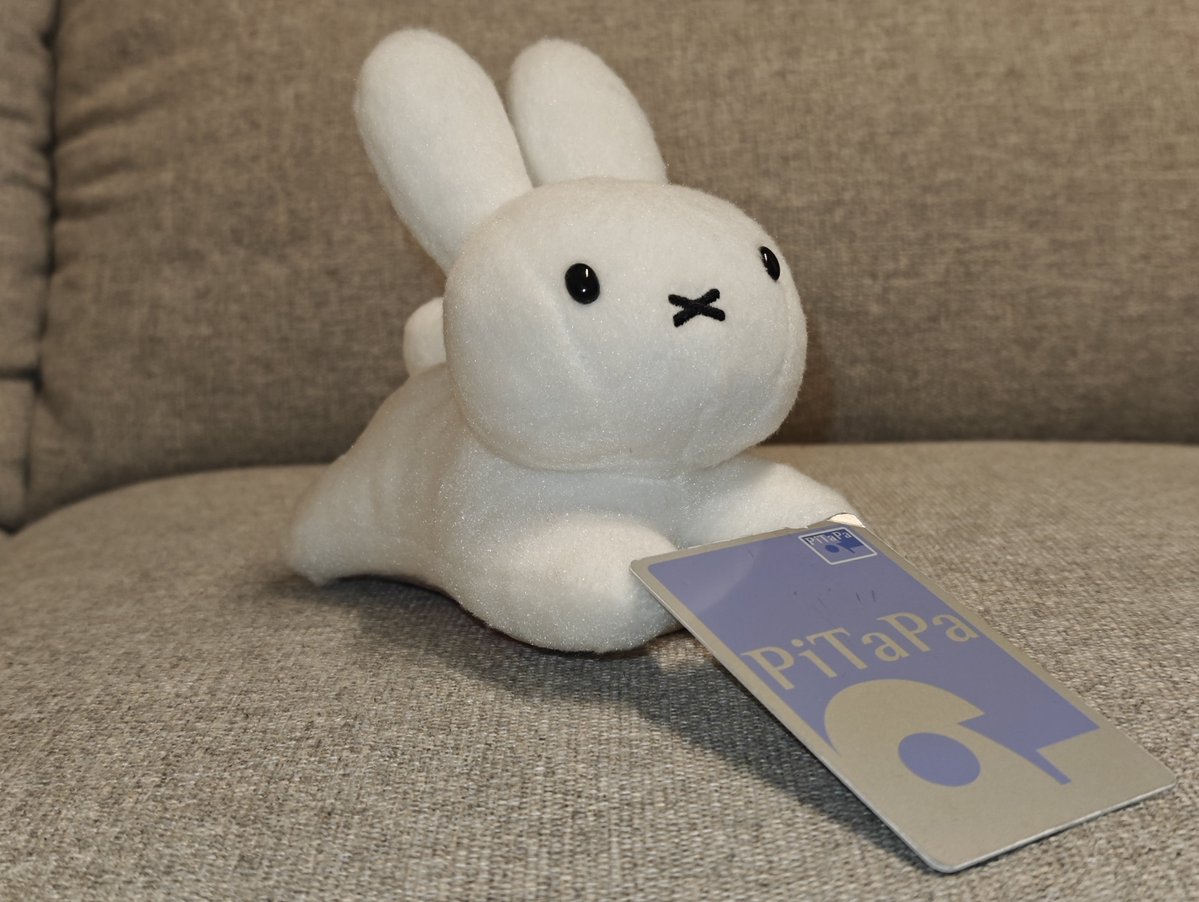 bruna_usao's tweet photo. 我が家のかぞく⑤
たっちさん：かいさつとおともだち

とうきょう駅うまれ、おおさか育ち
ふるさとに帰れるEXカードがオキニ https://t.co/3GfyYgmibf