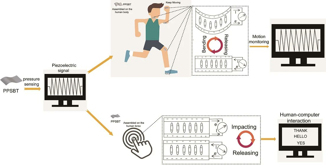 Biosensors_MDPI's tweet photo. 📣Call for Reading:
#Article
High-Performance #Flexible #PLA/#BTO-Based #Pressure #Sensor for #Motion #Monitoring and #Human–#Computer #Interaction
By Hu, D. et al.
https://t.co/vuKHygjEh0
#Biosensor #OpenAccess #Piezoelectric #PolylacticAcid #MotionMonitoring https://t.co/MBkJ61yQla