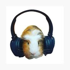 guineabug's tweet photo. When im with you it feels like muuuusssicccc 🎼🎧🎸 https://t.co/e5a3TIla67