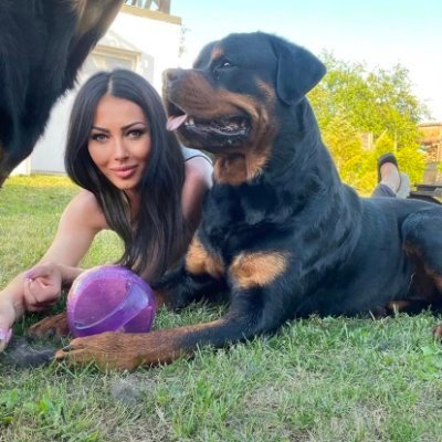 FoxxNicky49417's tweet photo. @DoggoW10 #fypシ゚viral #America1st #arteo #artms #nsfw #taboo #whore #thot #paobc lang:el #paofc lamg:el #dogs #DETwitter #folsom #chudai #rule34 https://t.co/M8l7stCKMD