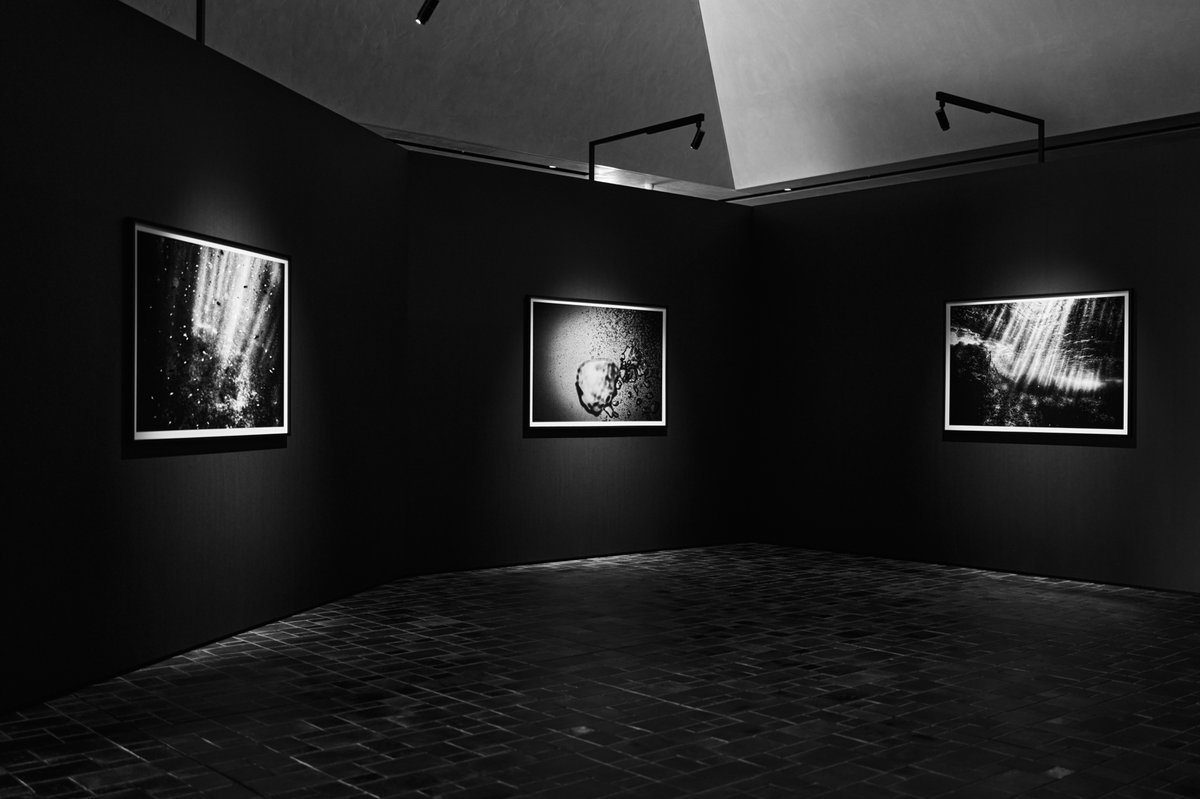 room49plus's tweet photo. 川口市立美術館 開館記念特別展
「蜷川実花展 はじまりの光」
2026年9月12日(土)~11月29日(日)
家族との記憶
シンプルな展示と迫力ある演出で
見応えのある展示でした。
最後の展示スペースは圧巻。
#leica #leicaq3 #蜷川実花 https://t.co/hPshEc9xSb