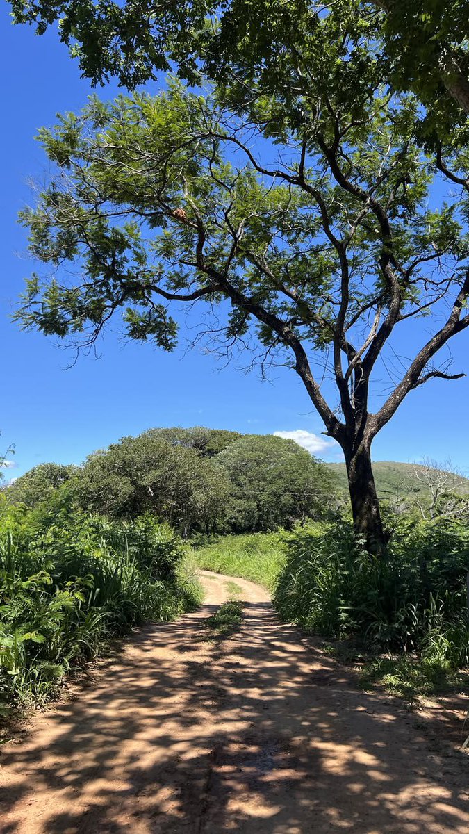 NatureDailyt3's tweet photo. https://t.co/XNSBFYJlUQ