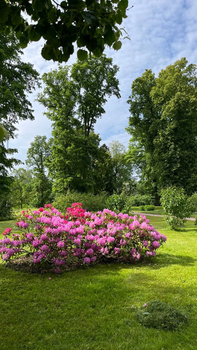 NatureDailyt3's tweet photo. https://t.co/6GQyllR22K