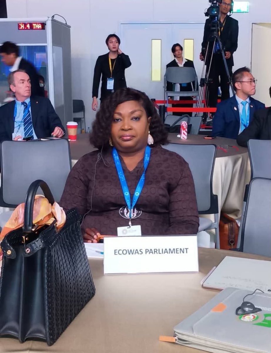 StanissVanilla's tweet photo. Hadja Mémounatou Ibrahima représente le Parlement de la CEDEAO au Forum parlementaire mondial de Bangkok pour porter les priorités de l’Afrique de l’Ouest financement des MPME et intégration régionale au service de 400 millions de citoyens.
#ParlementCEDEAO #AfriqueDeLOuest https://t.co/IbVtHUvPqB
